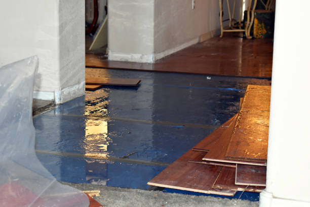 Professional Water Damage Restoration technician working in Mount Morris, IL